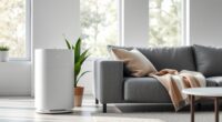 continuous air purifier use