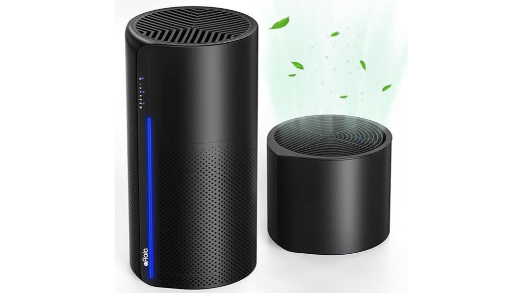 dual function air cleaner