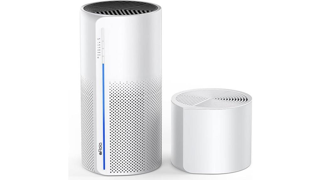 dual function purifier humidifier