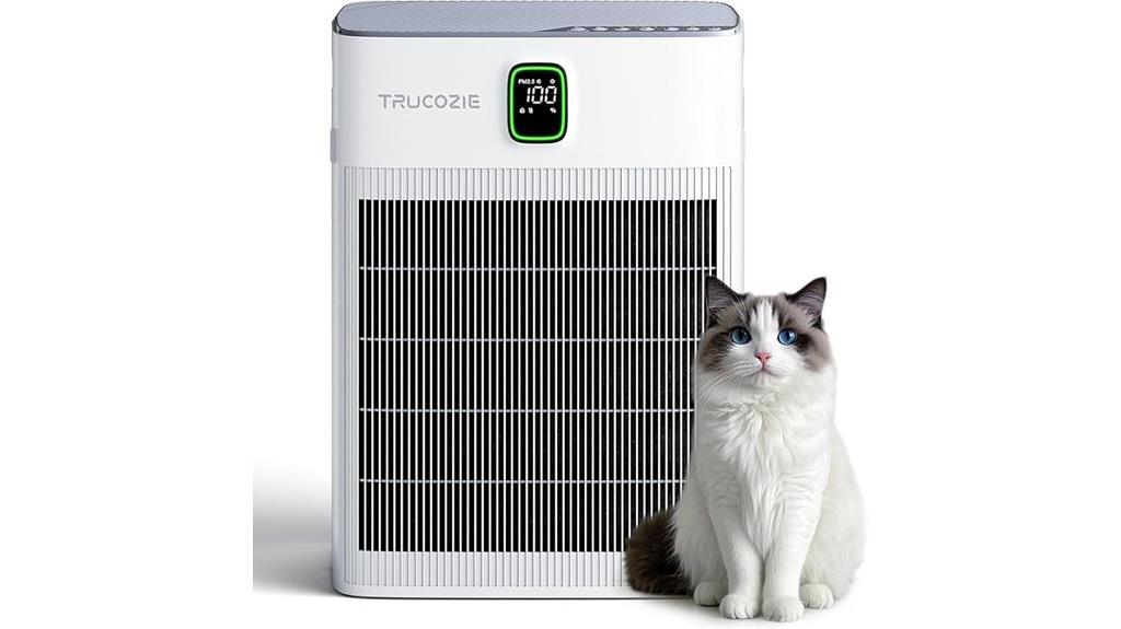home air purifier large area