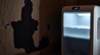 moisture control and mold