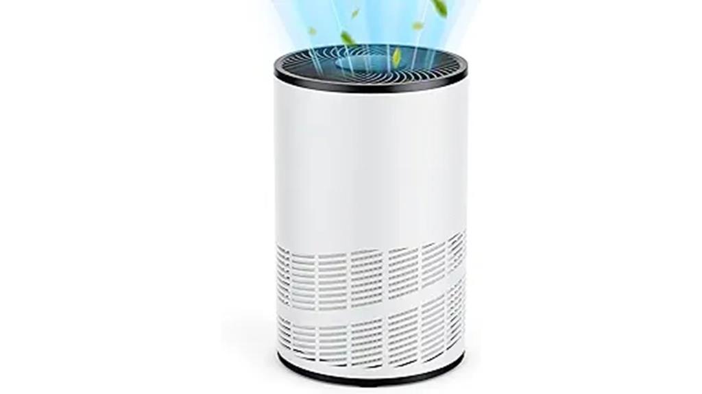 sweet crispy air purifier