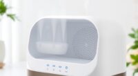 ceramic filter uv humidifiers