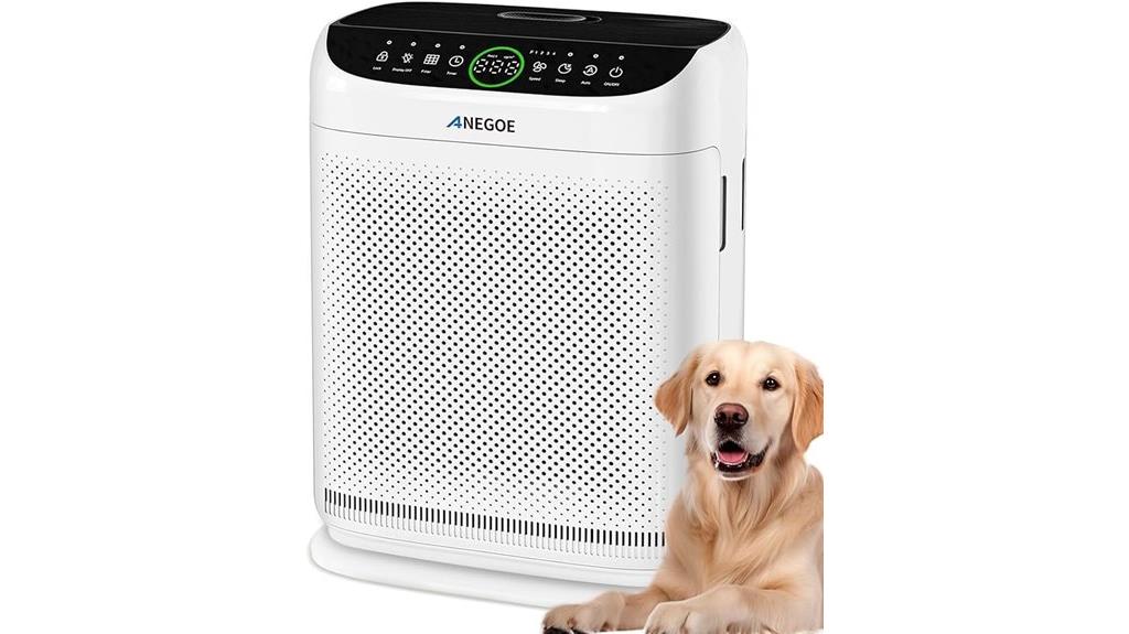 large room hepa purifier