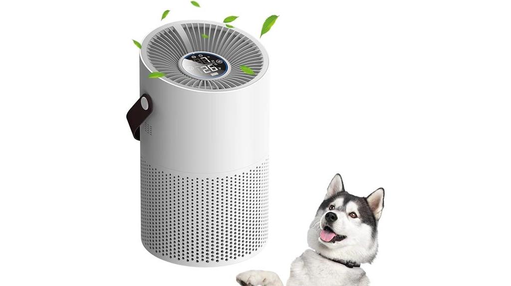 large room hepa purifier