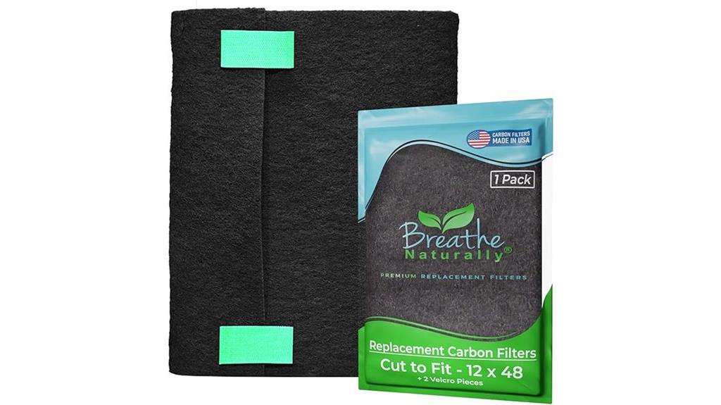 natural air purifier filter