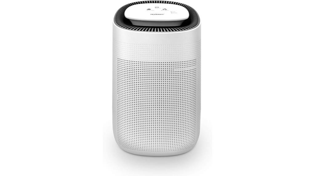 portable dehumidifier with purifier