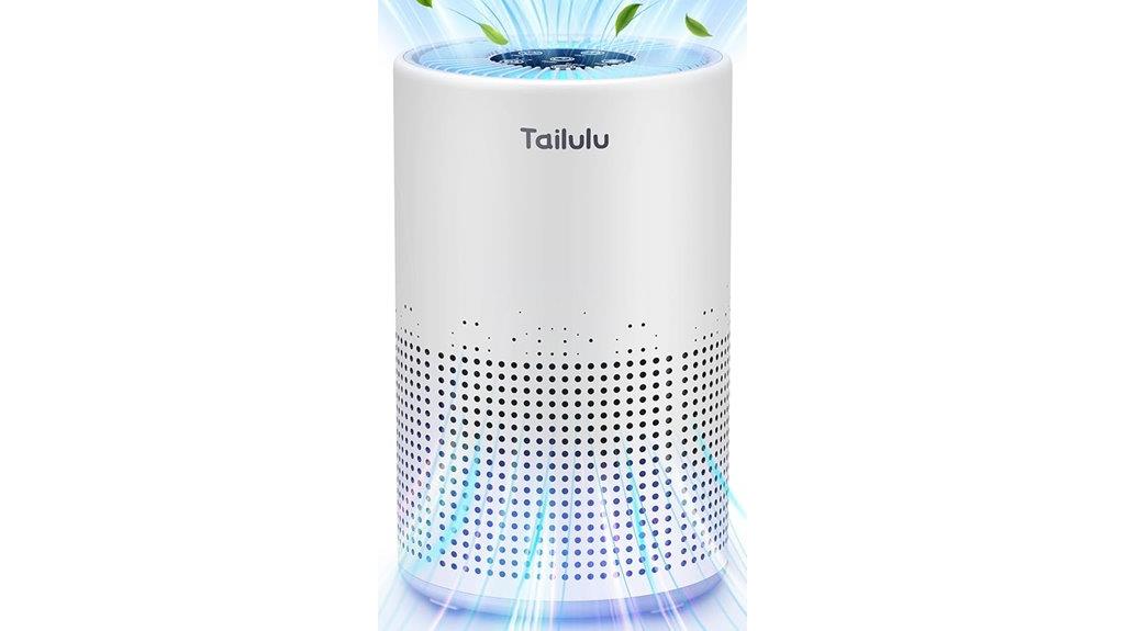 portable home air purifier