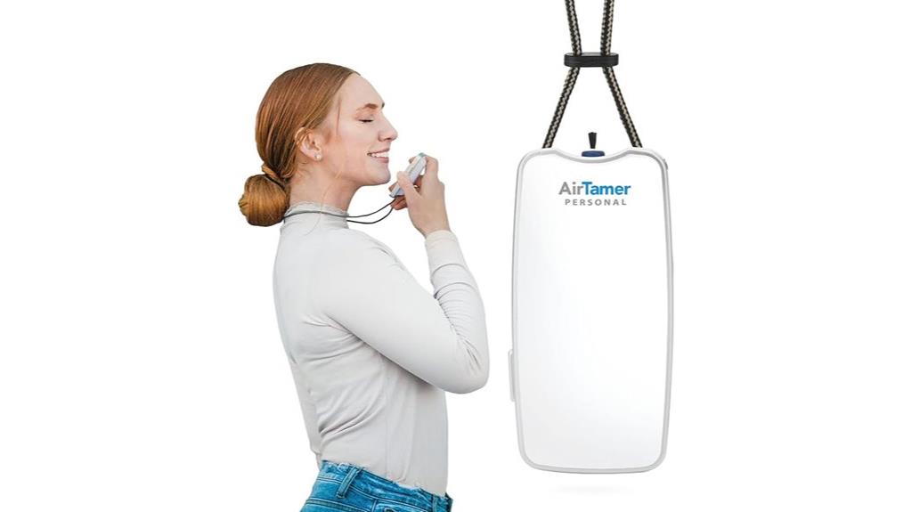 portable rechargeable air purifier