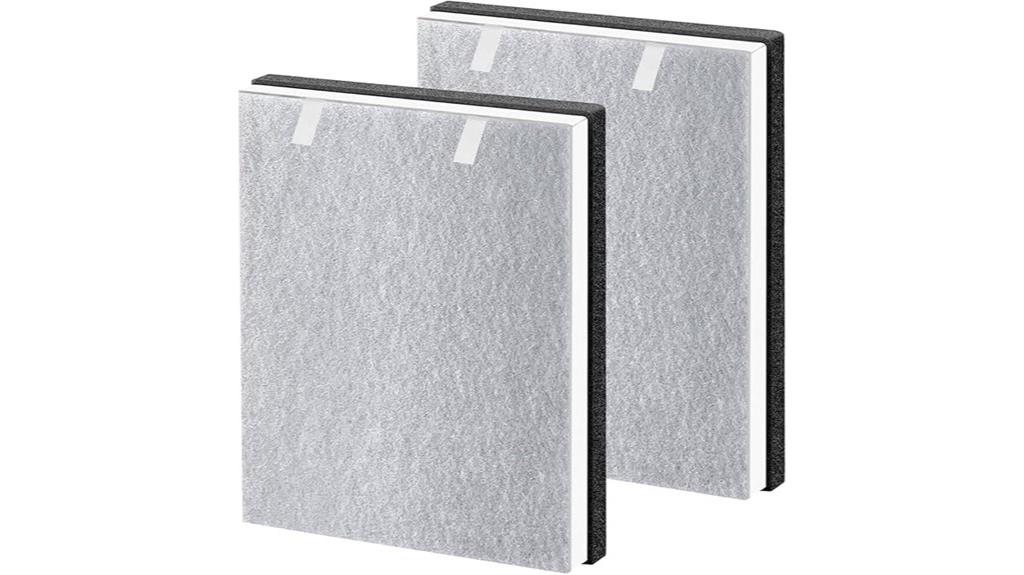 two hepa filters pack