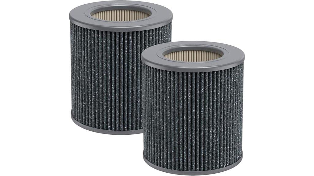 two pack mini hepa filters