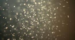mold spores health risks
