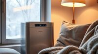 winter dehumidifier usage considerations