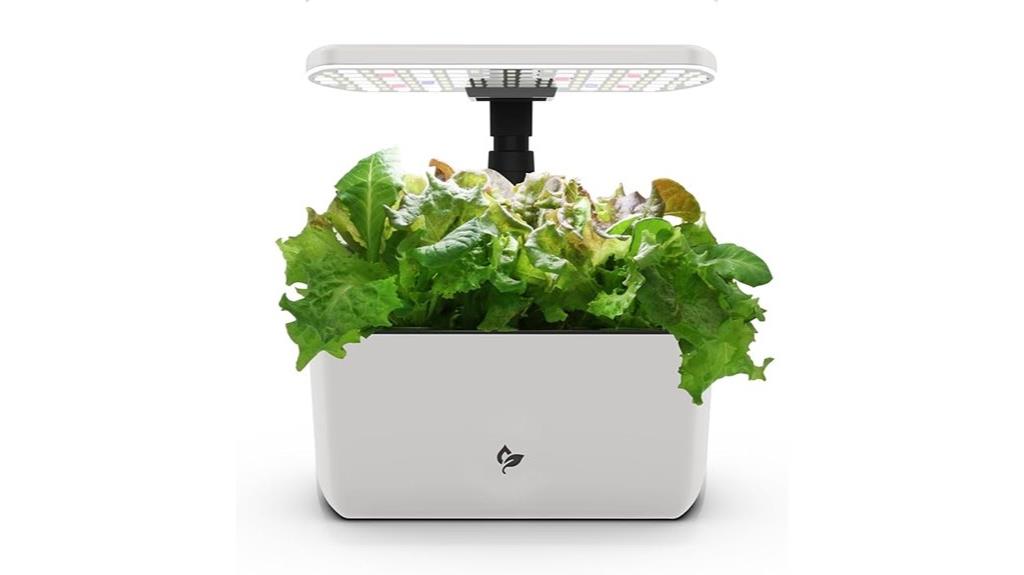indoor soil free gardening