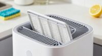 dehumidifier cleaning prevents odors