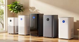 dehumidifiers for dust mites