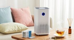 effective allergy season settings