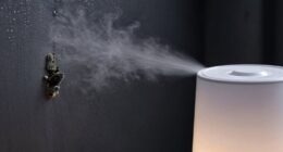 humidifiers can promote mold
