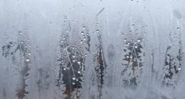 predictive condensation prevention system