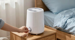 10 Best Dehumidifier for Dust Mite Control Bedrooms in 2026