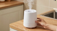 10 Best Humidifier For Desert Climate Home In 2026