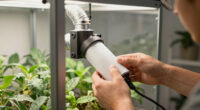 12 Best Carbon Filter Scrubber for Grow Tents in 2026