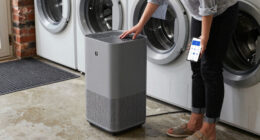 12 Best Smart Dehumidifier For Basement With App In 2026