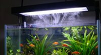 aquarium room air issues