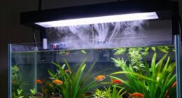 aquarium room air issues