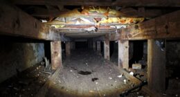 crawl space inspection guide