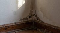 dampness often spreads outward