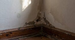 dampness often spreads outward