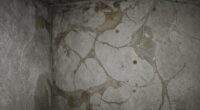 early moisture before mold