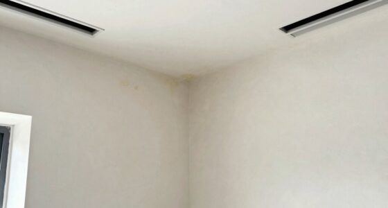 mold detection room audit