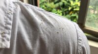 pollen damages indoor air