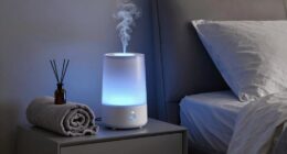purifier light sleep solution