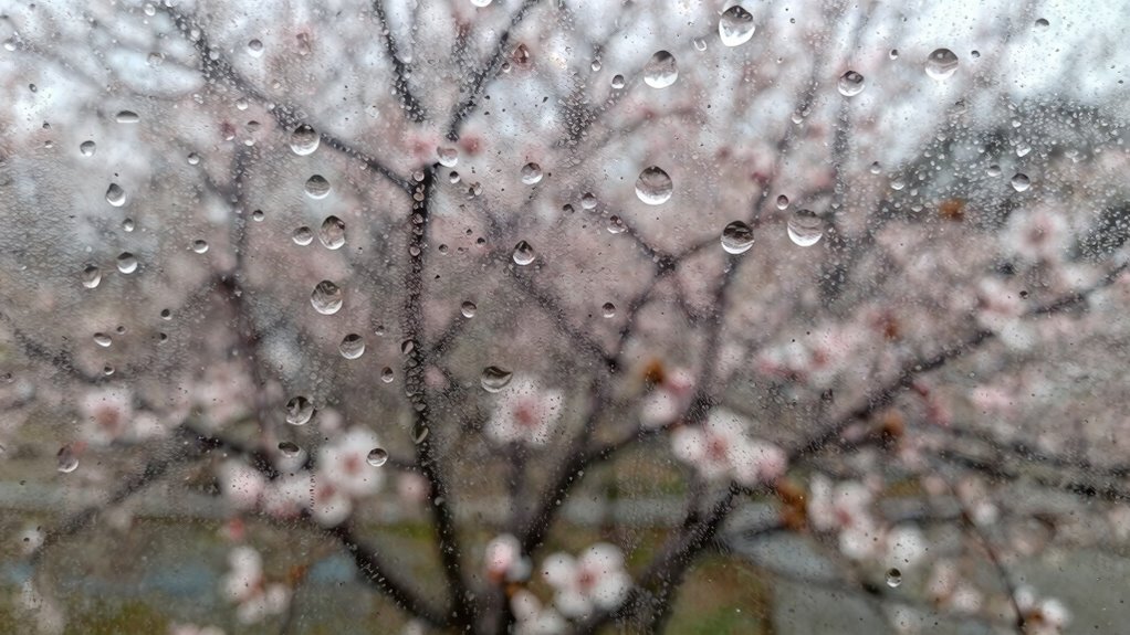 seasonal window condensation differences