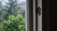 spring rain infiltrates indoors