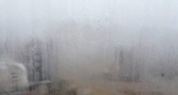 windows fogging after humidifier