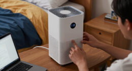 14 Best Portable Air Purifiers for Dorms in 2026