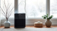 Keep the Winix 5510 Ready for Winter Air