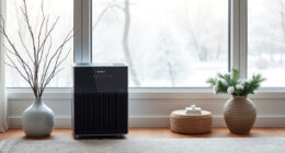 Keep the Winix 5510 Ready for Winter Air